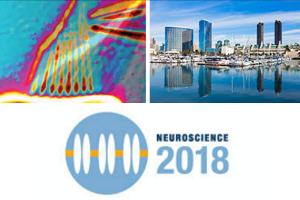 Neuroscience 2018 flier